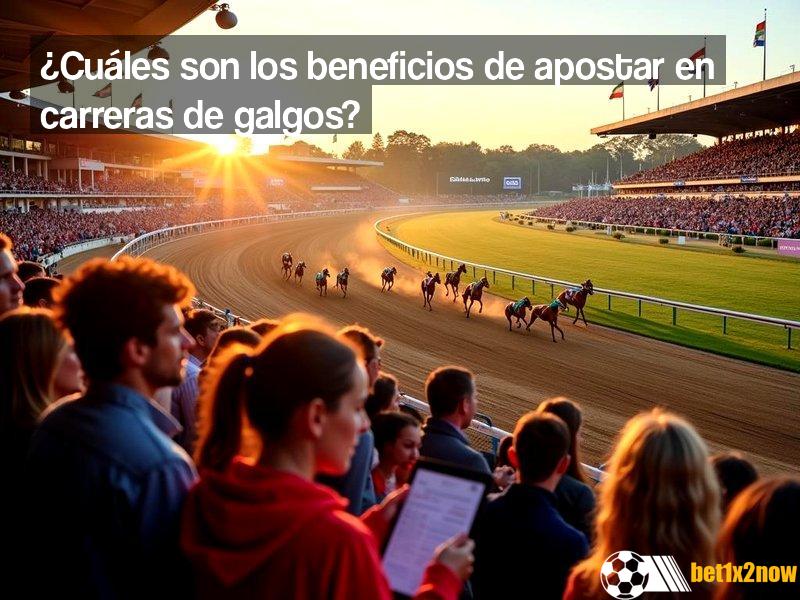 apuestas-online-en-las-carreras-de-galgos